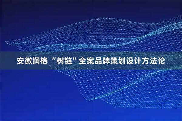 安徽润格 “树链”全案品牌策划设计方法论