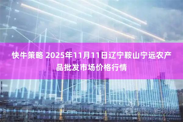 快牛策略 2025年11月11日辽宁鞍山宁远农产品批发市场价格行情