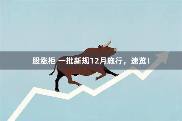 股涨柜 一批新规12月施行，速览！
